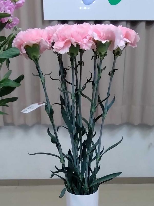 フラワーコンテスト