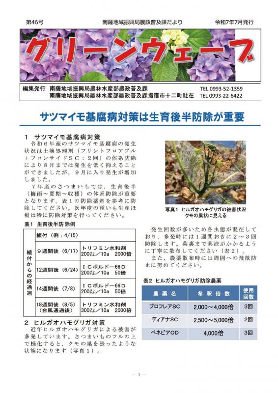 グリーンウェーブ46号