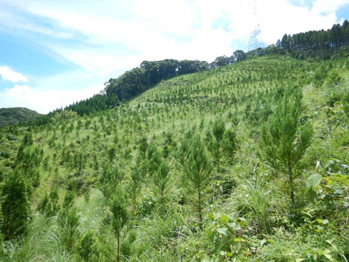 森林資源の循環利用R5