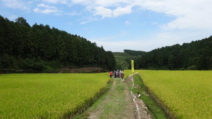 日本棚田百選ウォークin幸田の写真2