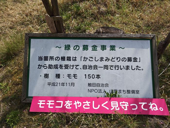 06看板2025
