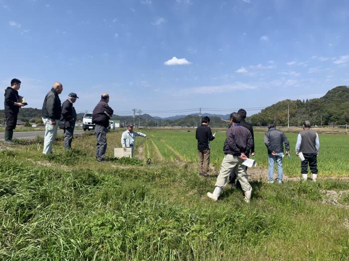麦現地検討会