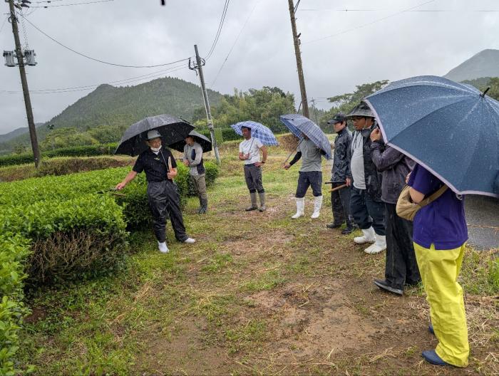 田代有機茶検討会