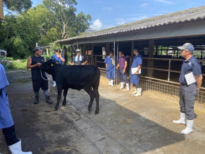 子牛育成モデル巡回実績検討