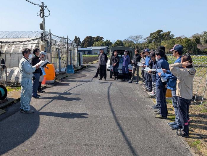  ピーマン基本技術研修