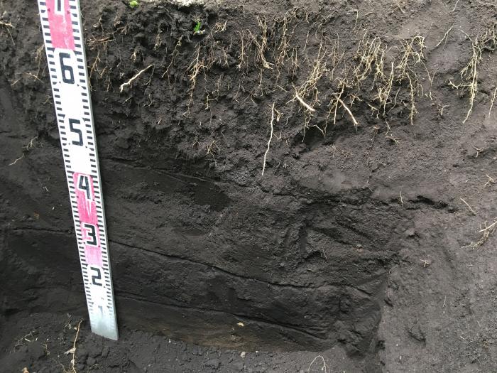 土壌調査
