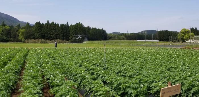 スプリンクラーを躱す薬散ドローン