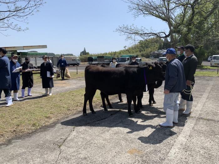 農家の情熱が詰まった肉用牛品評会が開催