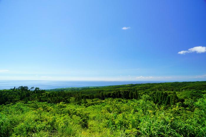 牧川