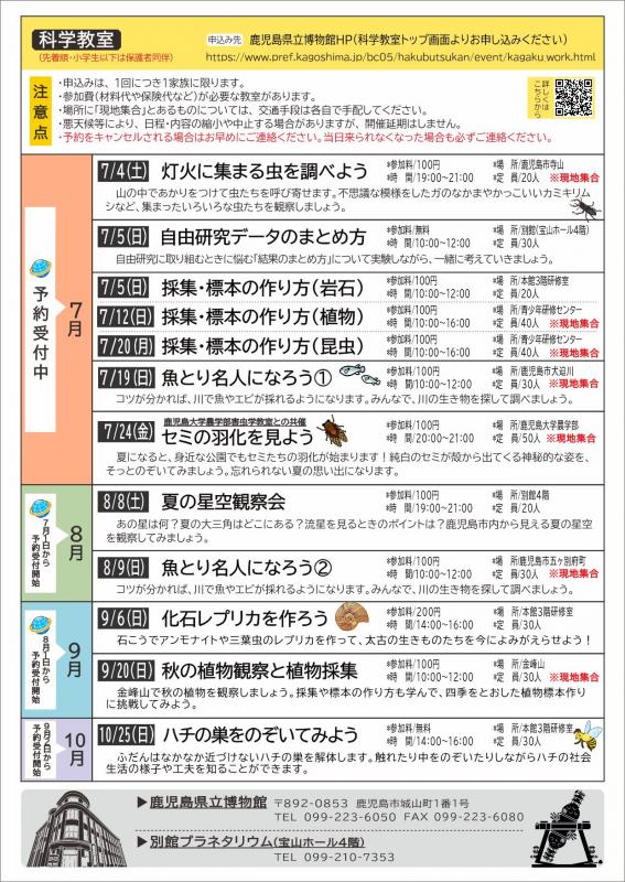 裏