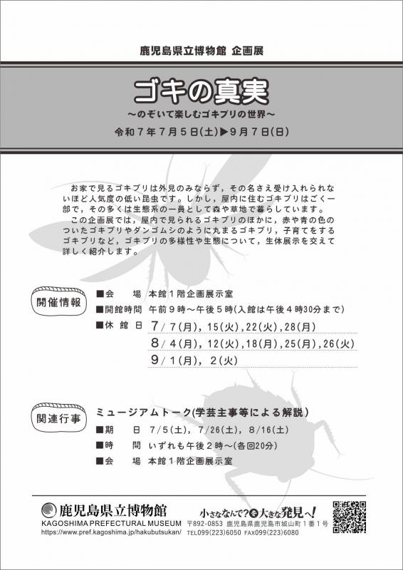 ゴキ裏