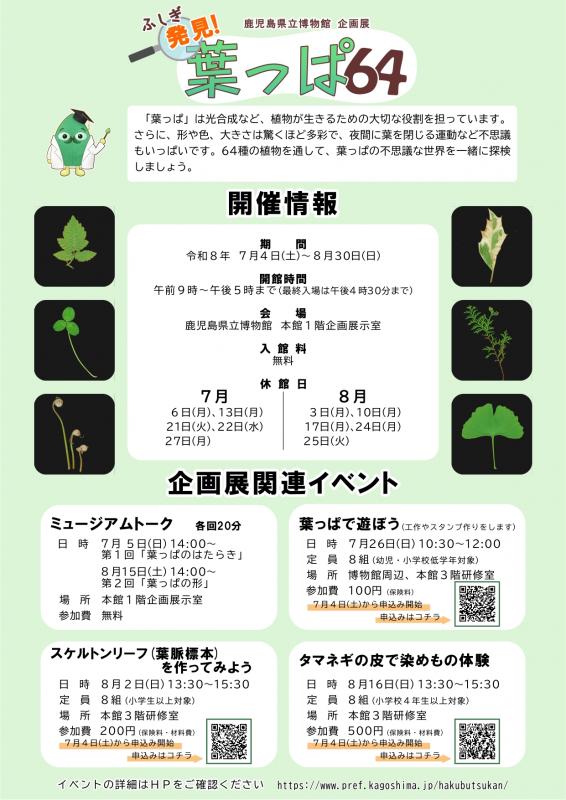 チラシ裏