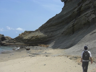 鹿児島と化石2