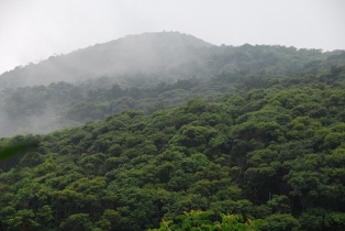 2-3霧の中の小川岳.jpg