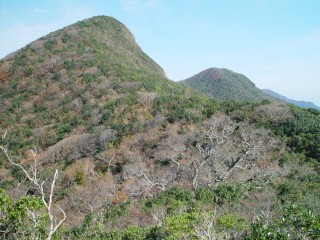 高隅ブナ林