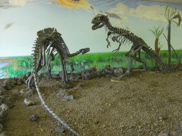 恐竜化石変更1