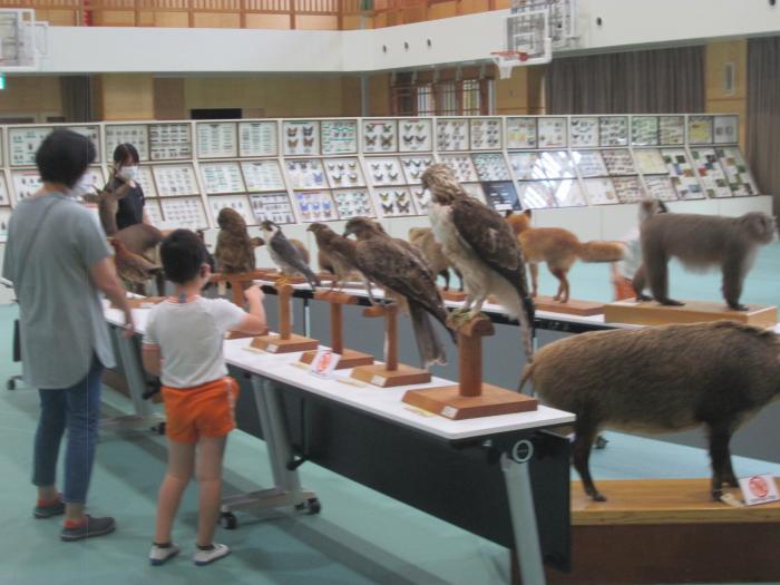 聾学校展示