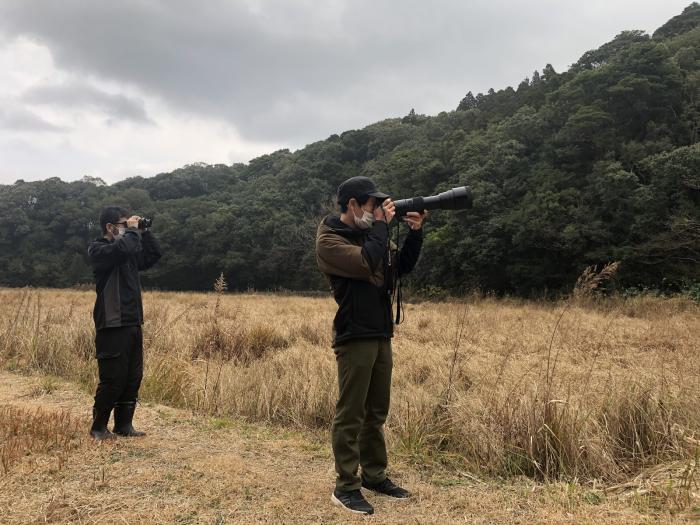 鳥類を撮影