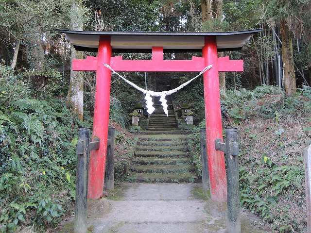 高座神社社叢3