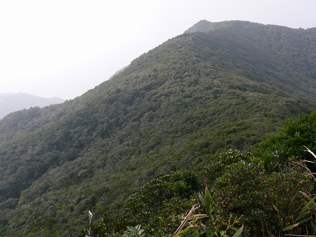 横岳景観