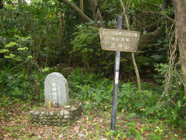 5女神山看板