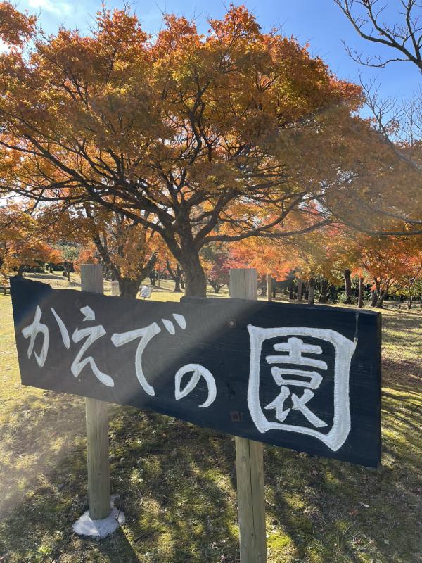 kaedenosono