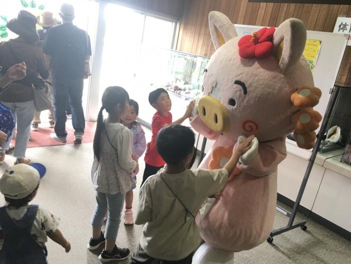 散歩1