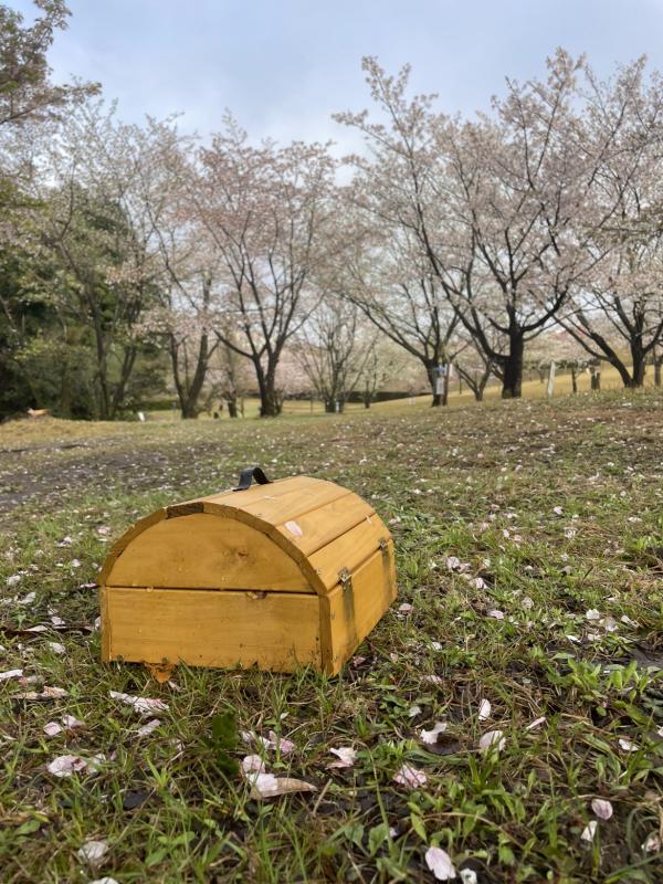 宝箱
