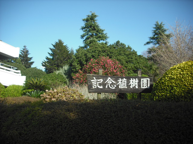 記念植樹園-1