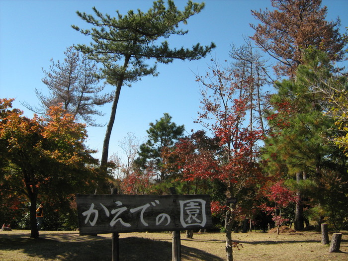 かえでの園-1