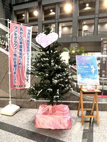 写真2