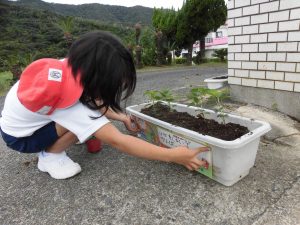 奄美市での緑が丘小シール貼り