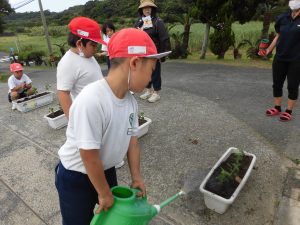 奄美市での緑が丘小水かけ