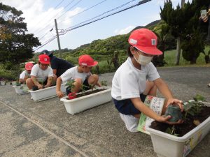 奄美市での緑が丘小苗植え