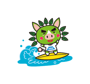 サーフィン