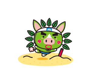 ビーチフラッグス