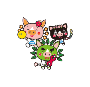 ３Ｂ体操