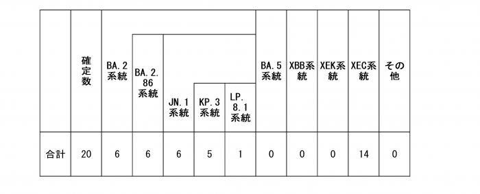 HP更新用