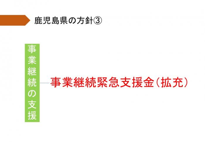 事業継続緊急支援金（拡充）