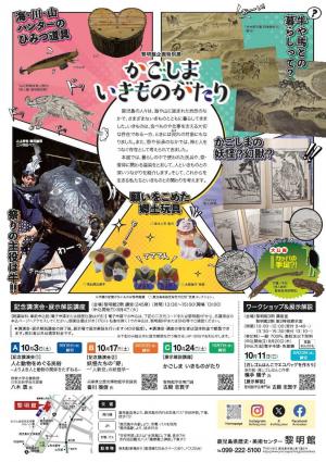R8特展リーフウラ