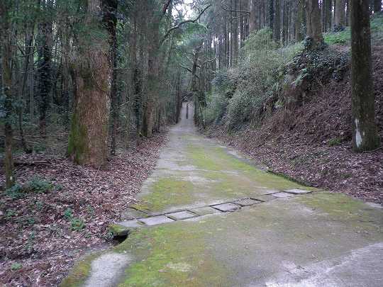 駐車場3