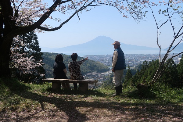 桜公園外観